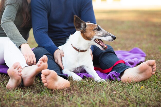 Cachorro sentado com casal no parque