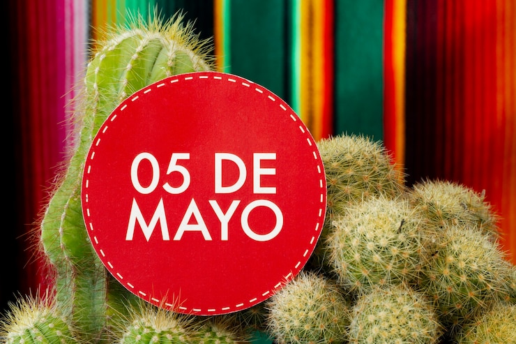 Foto grátis cactus e 5 de maio assinam festa mexicana