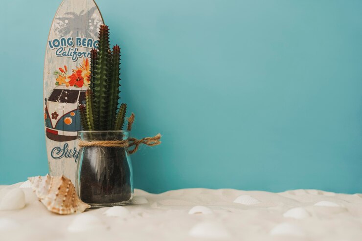 Foto grátis cactus e prancha de surfe