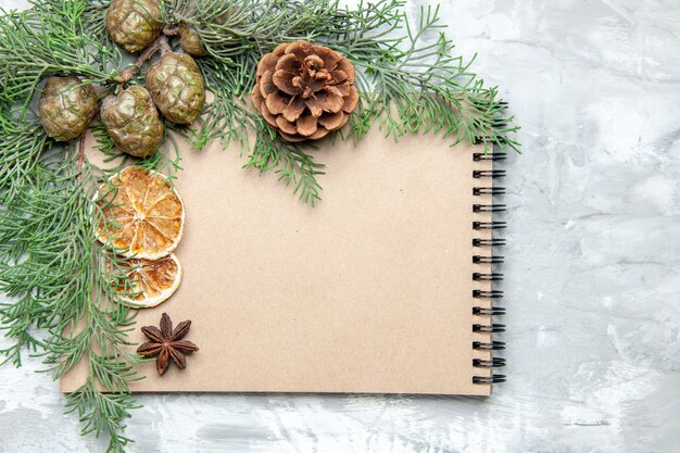 Caderno com vista de cima, fatias de limão secas, anis, ramos de pinheiro na superfície cinzenta