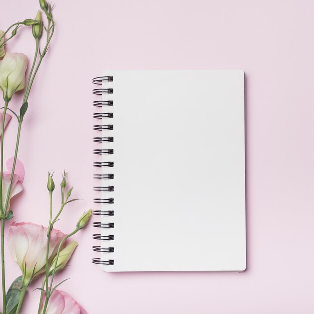 Caderno espiral em branco com flores eustoma contra rosa pano de fundo