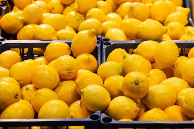 Foto grátis caixas de limões em uma vitrine de supermercado