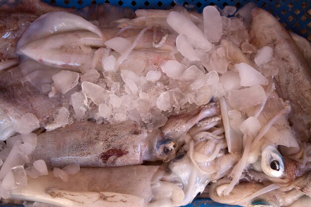 calamares no balcão do mercado