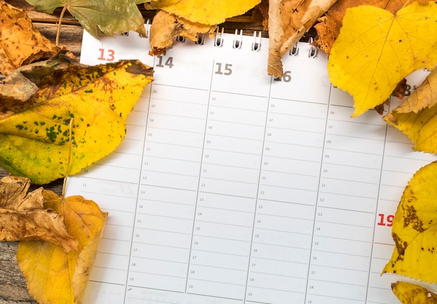 Calendário de configuração plana com arranjo de folhas douradas