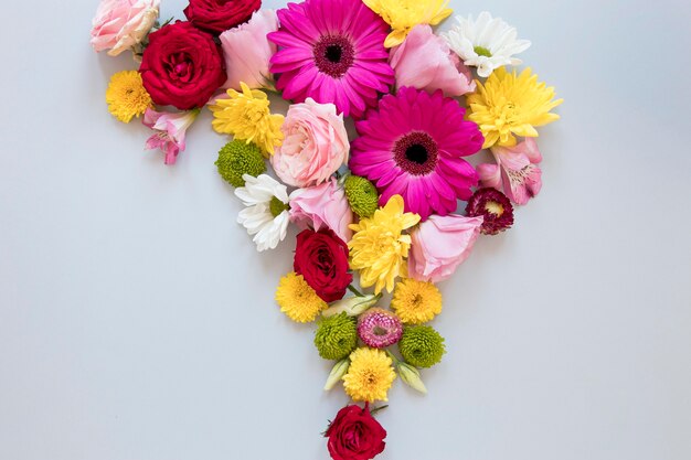 Camada plana com variedade de flores lindas