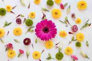 Foto grátis camada plana de lindos arranjos de flores