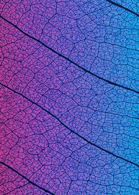 Camada plana de textura de folha transparente