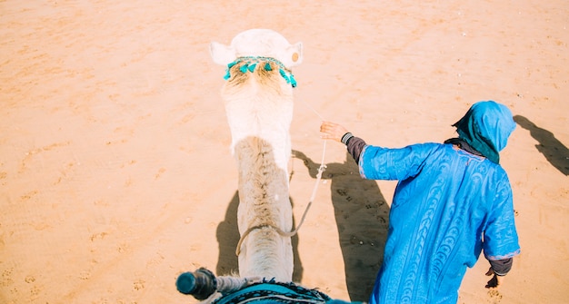 Camelo na paisagem do deserto em Marrocos