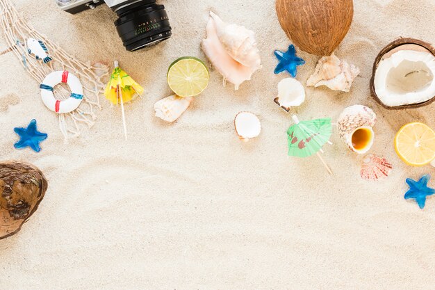 Câmera com frutas exóticas e conchas do mar