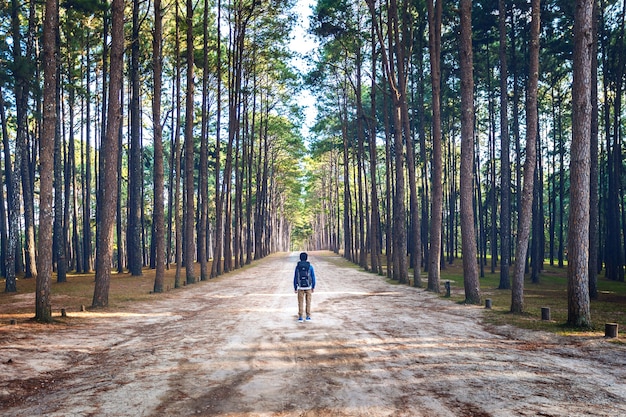 Caminhadas homem com mochila caminhando na floresta.