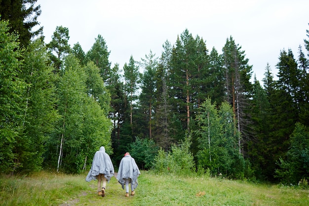 Caminhadas na floresta