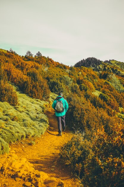 Caminhante caminhando pela natureza