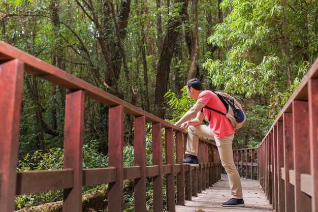 Caminhante em uma ponte velha na selva