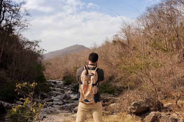 Caminhante, levando, foto, paisagem