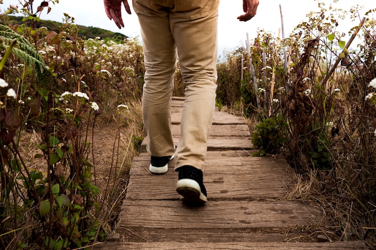 Foto grátis caminhante, madeira, caminho