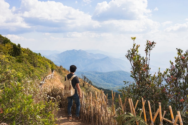 Caminhante, montanha, panorama