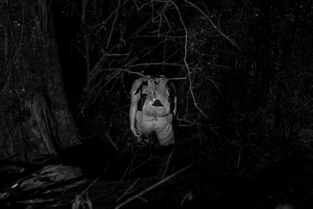 Foto grátis caminhante, noturna, visão