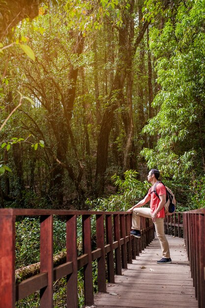 Caminhante que olha acima em uma ponte velha