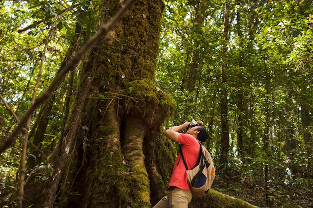 Foto grátis caminhante que toma uma foto de uma árvore enorme