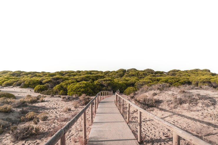 Foto grátis caminho de prancha de madeira em punta umbria