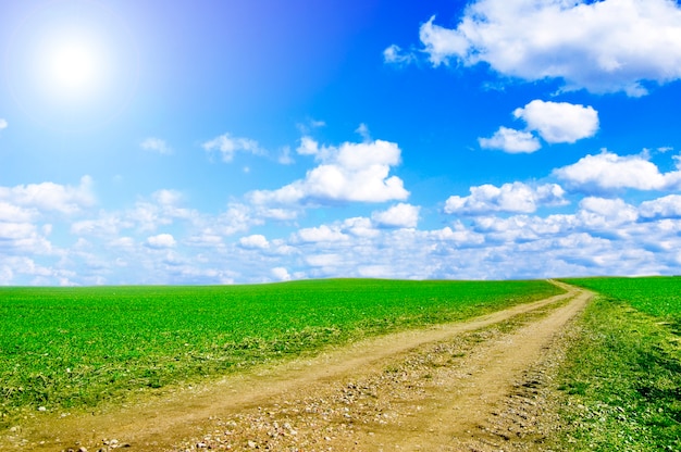 caminho de terra com um dia nublado