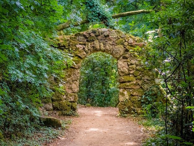 Caminho de terra em um parque florestal passando por uma arca de pedra na serra do buçaco, portugal