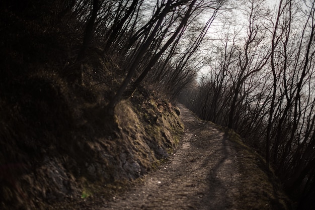 Foto grátis caminho escuro da montanha