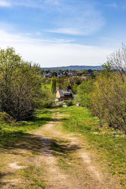 Caminho estreito em um terreno verde cercado por muitas árvores com casas