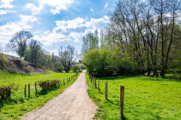 Caminho estreito no campo cercado por vale verde