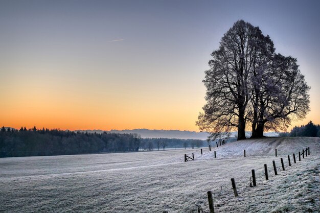 Campo cercado por colinas e árvores nuas cobertas de neve durante o pôr do sol no inverno