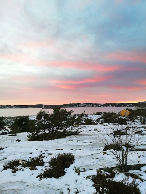 Campo coberto de neve cercado por árvores sob um céu nublado durante o pôr do sol na Noruega