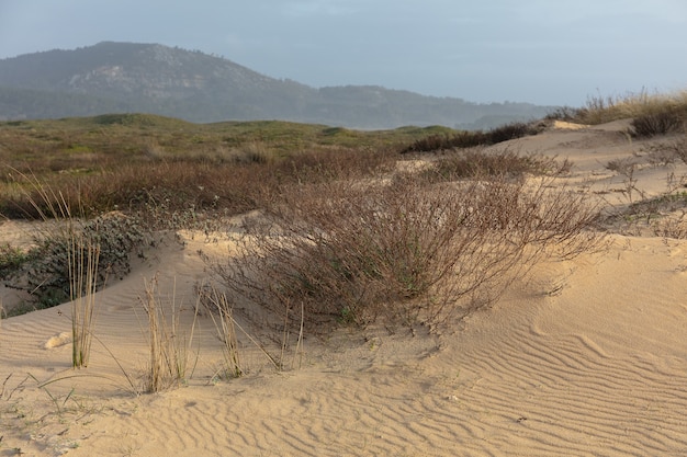 Campo coberto de vegetação e areia cercado por colinas sob um céu nublado