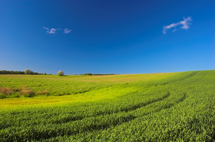 Foto grátis campo com marcas de trator