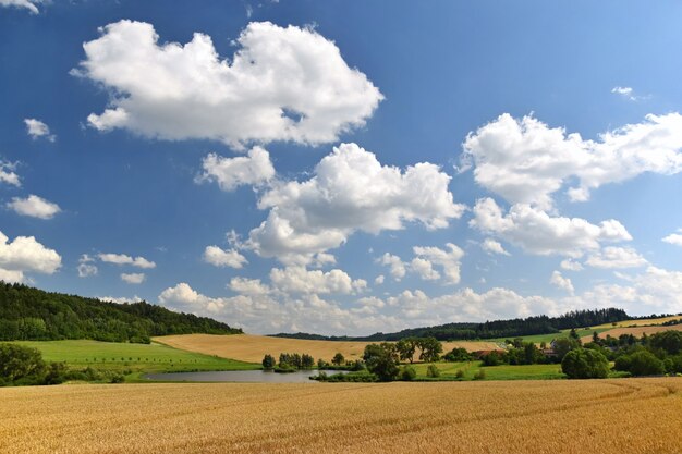 Campo com nuvens