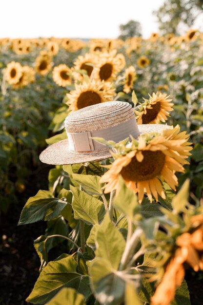 Campo de girassóis com chapéu de verão