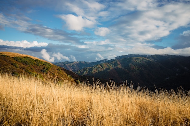 Foto grátis campo de grama verde e marrom perto da montanha sob nuvens brancas e céu azul durante o dia