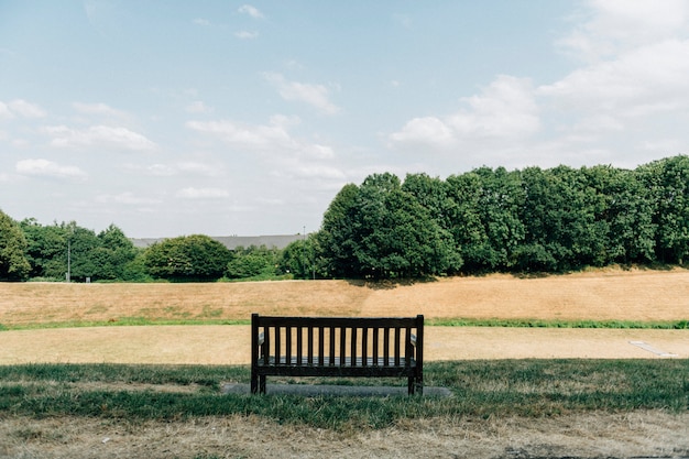 Foto grátis campo, de, outono, prado, em, um, parque