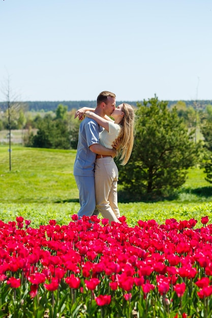 Campo de tulipas na holanda campos de tulipas coloridas em flevoland noordoostpolder holanda vistas da primavera holandesa na holanda casal homem e mulher de meia idade no campo de flores Foto Premium