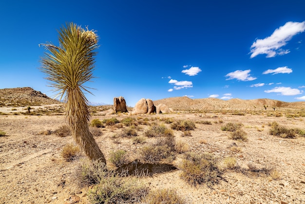 Campo deserto aberto com colinas arenosas e céu azul nublado