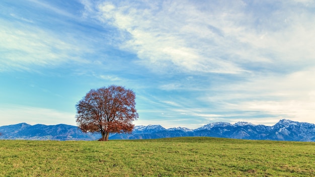 Campo e montanhas