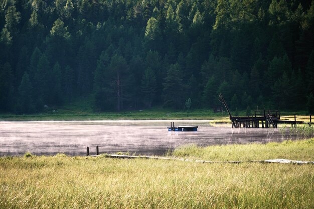 Campo gramado seco perto da água com árvores