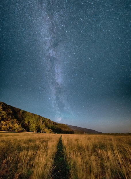 Campo gramado sob céu cinza durante a noite