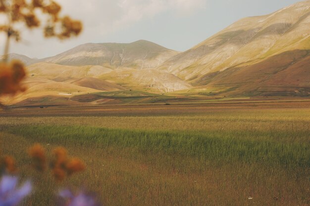 Campo marrom e verde perto da montanha