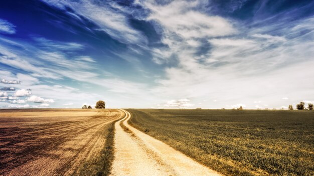 Campo marrom sob céu azul e nuvens brancas durante o dia