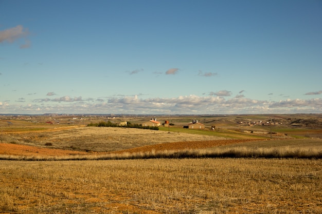 Campo marrom sob o céu azul durante o dia