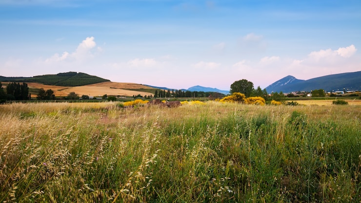 Foto grátis campo nos contrafortes. navarra