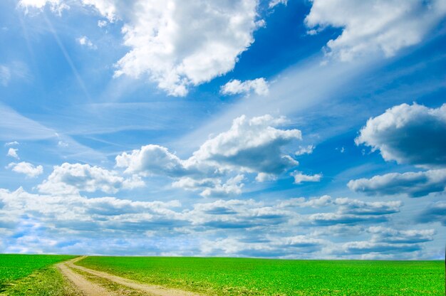 Campo verde com nuvens