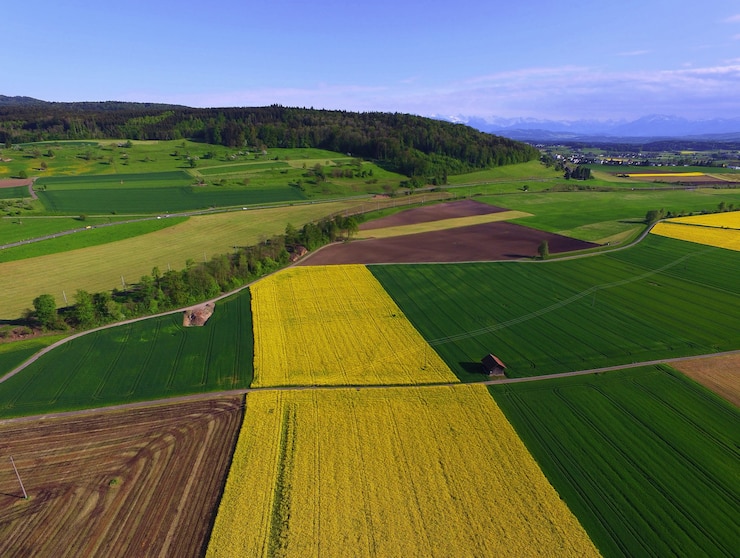Foto grátis campo verde e amarelo durante o dia