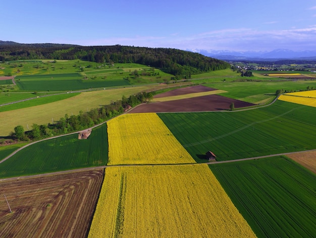 Campo verde e amarelo durante o dia