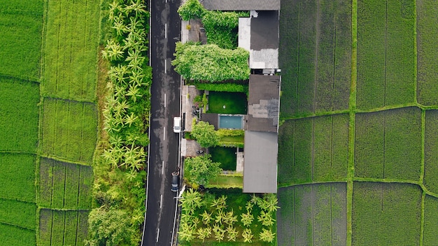 Campos em Bali são fotografados a partir de um drone